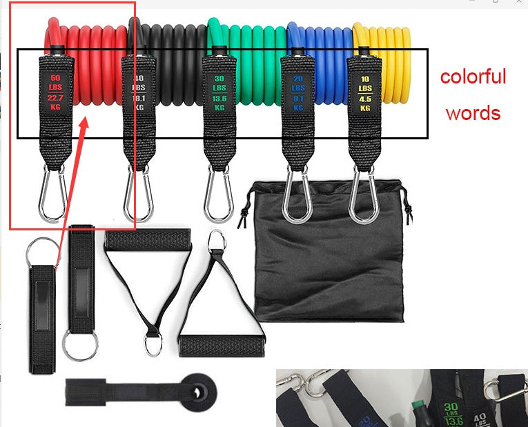 Fitness Rally Elastic Rope Resistance Band Set – Full-Body Workout Trainer
