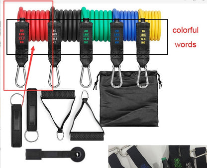 Fitness Rally Elastic Rope Resistance Band Set – Full-Body Workout Trainer